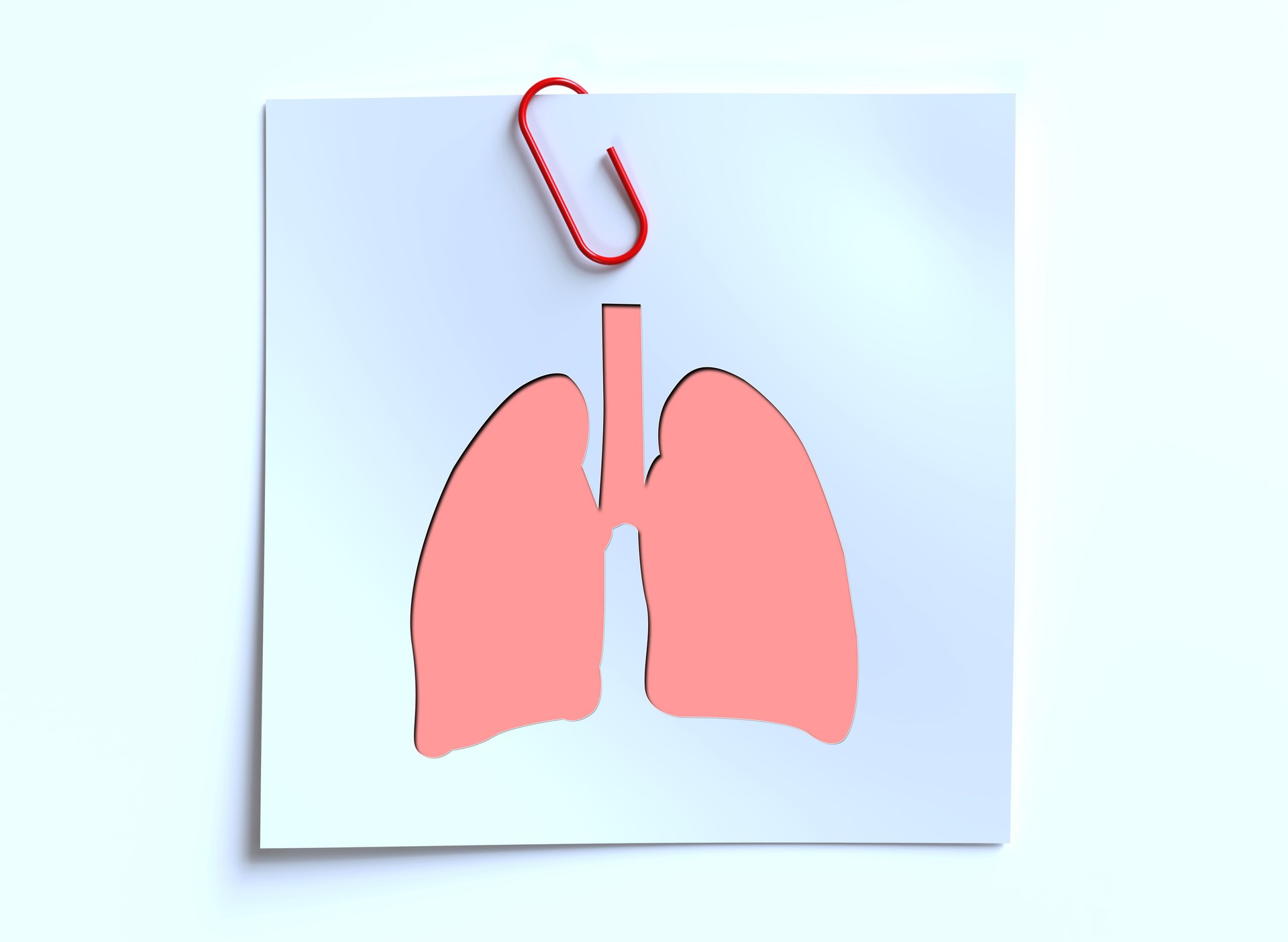 Pink Lungs Icon